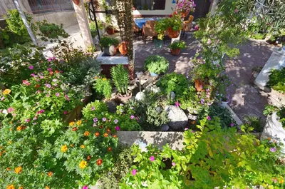 Vrt u objektu Apartment Gordan