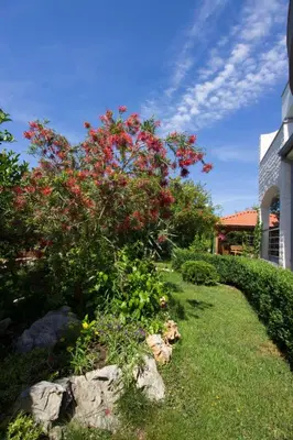 Vrt u objektu Apartment Apartmani Vesna Grebaštica by Interhome