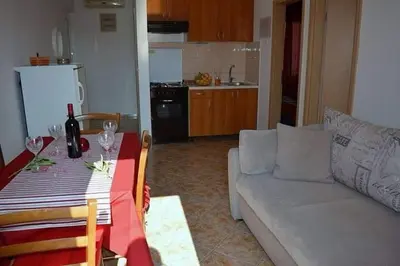Kuhinja ili čajna kuhinja u objektu Apartments Villa Sarajevo