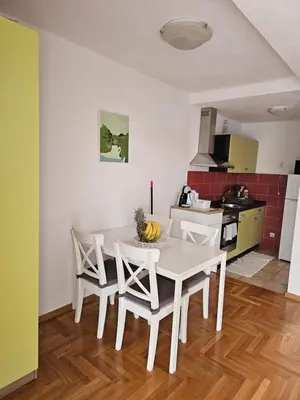 Kuhinja ili čajna kuhinja u objektu Apartman Antea