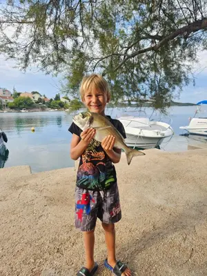Gosti u objektu Villa Aura Maris