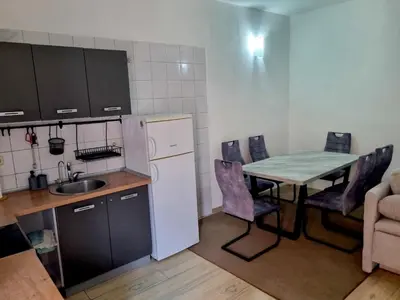 Kuhinja ili čajna kuhinja u objektu Lion Apartments