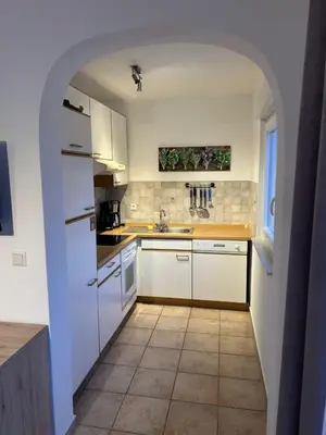 Kuhinja ili čajna kuhinja u objektu Villa Nikki
