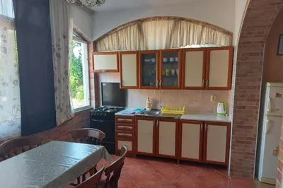 Kuhinja ili čajna kuhinja u objektu Apartments with parking space Pirovac, Sibenik - 25146