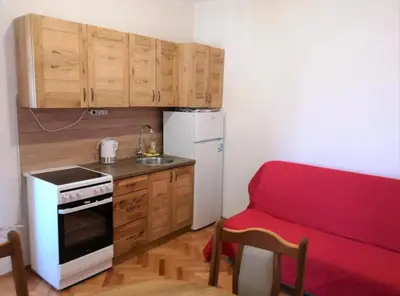 Kuhinja ili čajna kuhinja u objektu Apartments Kao Nekad