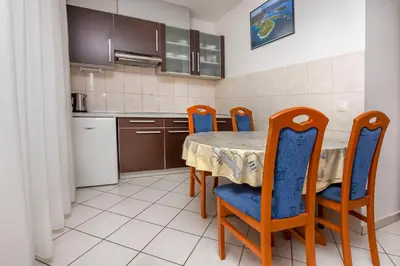 Kuhinja ili čajna kuhinja u objektu Apartments Aurel