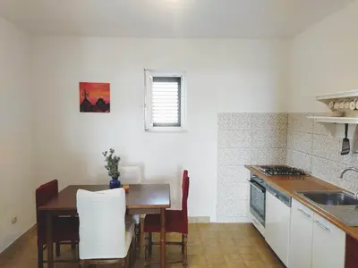 Kuhinja ili čajna kuhinja u objektu Apartment Prvic Sepurine II