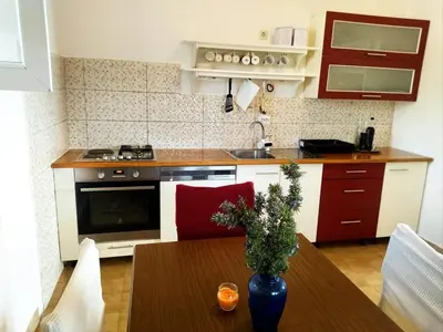 Kuhinja ili čajna kuhinja u objektu Apartment Prvic Sepurine II