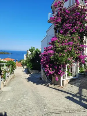 Priroda u blizini apartmana
