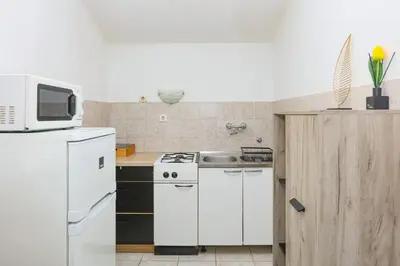Kuhinja ili čajna kuhinja u objektu Apartments with parking space Grebastica - Sibenik - 24821