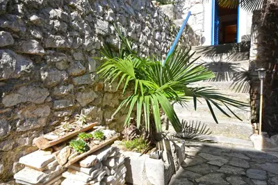 Tlocrt objekta Family friendly house with a parking space Murter - 15147