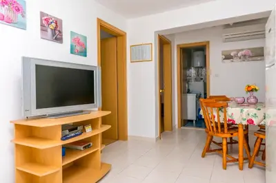 TV i/ili zabavni centar u objektu Apartment Bakovic