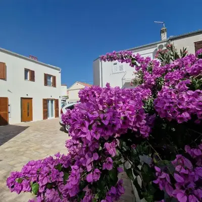 House Miamare