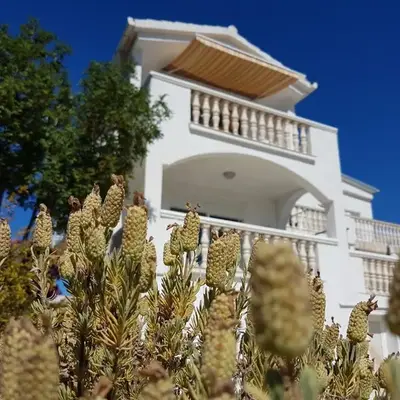 Apartments Adriatic