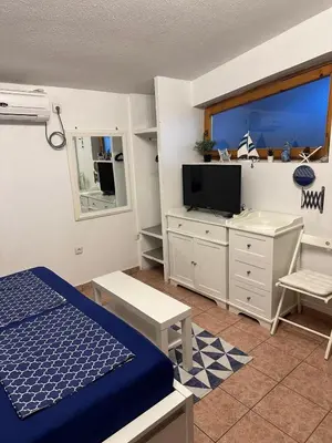 TV i/ili zabavni centar u objektu Sea View Apartments Jadrija