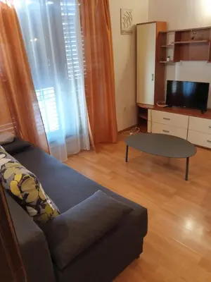 TV i/ili zabavni centar u objektu Apartments Merica