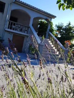 Vrt u objektu Maslina Apartment