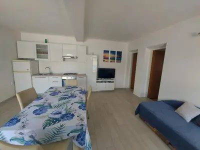 TV i/ili zabavni centar u objektu Apartment Marin