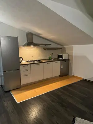 Kuhinja ili čajna kuhinja u objektu Apartments Leona