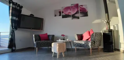 TV i/ili zabavni centar u objektu Beach Apartments Maris Ljoljinica