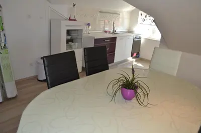 Kuhinja ili čajna kuhinja u objektu Apartment Branko