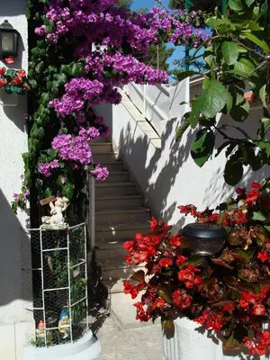 Tlocrt objekta Apartment Jadrija 11356a