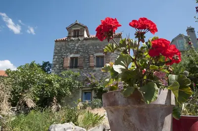 Vrt u objektu Stone house Na Rudini