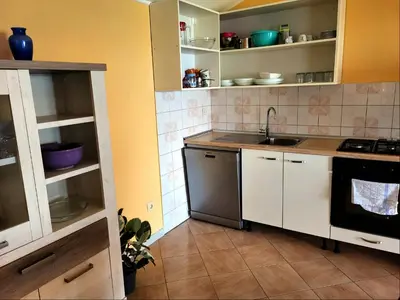 Kuhinja ili čajna kuhinja u objektu Holiday home Prvic Sepurine