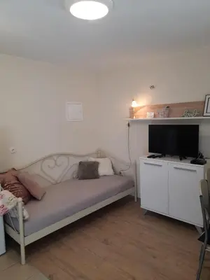 TV i/ili zabavni centar u objektu Apartment Maro