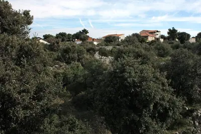 Priroda u blizini apartmana