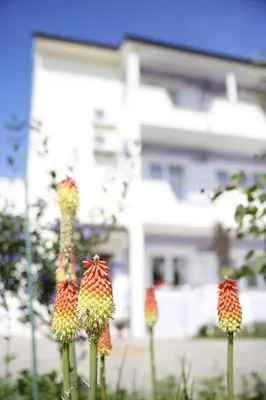 Zgrada u kojoj se nalazi apartman