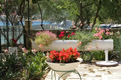 Vrt u objektu Apartments by the sea Grebastica - Sibenik - 6437