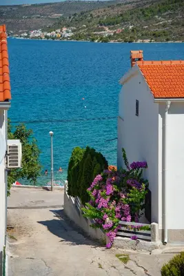 Priroda u blizini apartmana