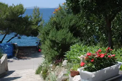 Priroda u blizini apartmana