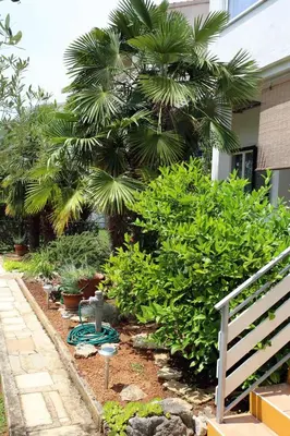 Vrt u objektu Family friendly seaside apartments Vodice - 928
