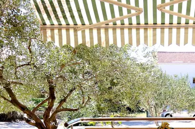 Vrt u objektu Apartments by the sea Zaboric - Sibenik - 468
