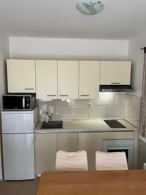 Kuhinja ili čajna kuhinja u objektu Apartments by the sea Zaboric - Sibenik - 468