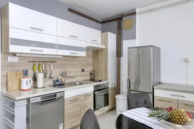 Kuhinja ili čajna kuhinja u objektu Apartments by the sea Jezera, Murter - 796