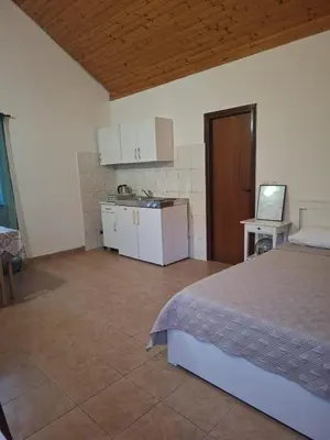 Kuhinja ili čajna kuhinja u objektu Apartments with parking space Grebastica, Sibenik - 4312