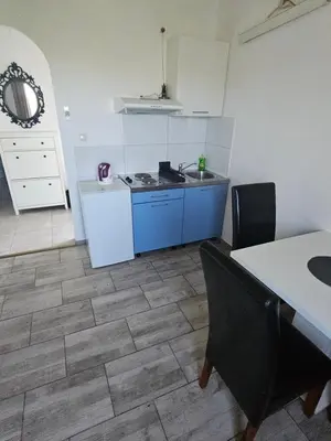 Kuhinja ili čajna kuhinja u objektu Apartments Aurora