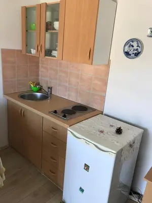 Kuhinja ili čajna kuhinja u objektu Apartments Nena