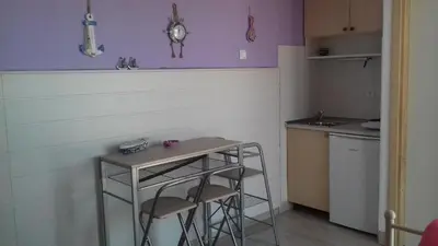 Kuhinja ili čajna kuhinja u objektu Gospodar Apartments