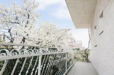 Balkon ili terasa u objektu Apartments Milka