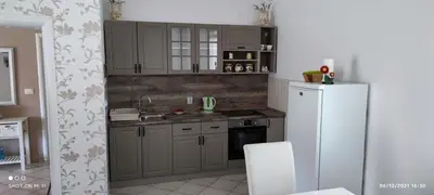 Kuhinja ili čajna kuhinja u objektu Apartments Depa