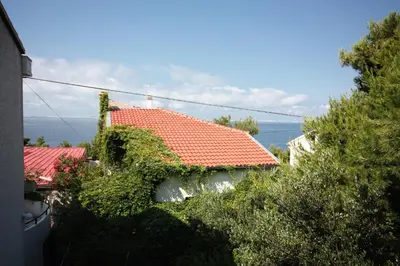 Priroda u blizini apartmana
