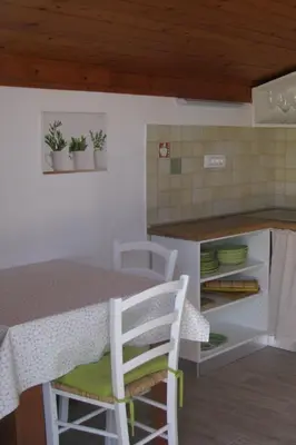 Kuhinja ili čajna kuhinja u objektu Apartments by the sea Tribunj, Vodice - 2993