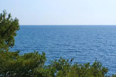 Priroda u blizini apartmana