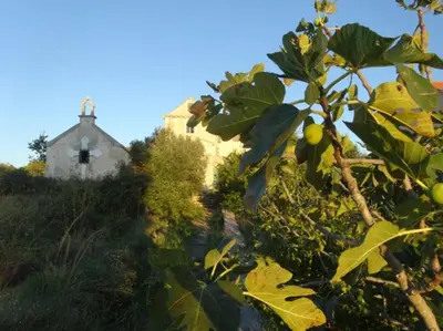 Vrt u objektu D HOUSE authentic Zlarin house, relaxing courtyard and terrace