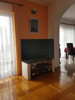 TV i/ili zabavni centar u objektu Apartments Jankovic