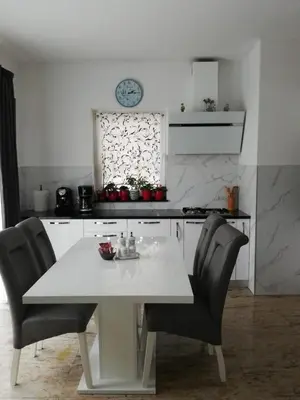 Kuhinja ili čajna kuhinja u objektu Apartments Jankovic